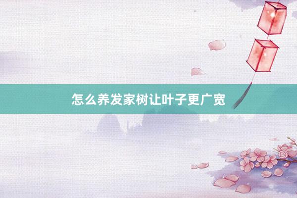 怎么养发家树让叶子更广宽