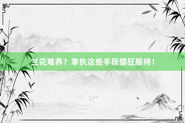 兰花难养？掌执这些手段猖狂服待！