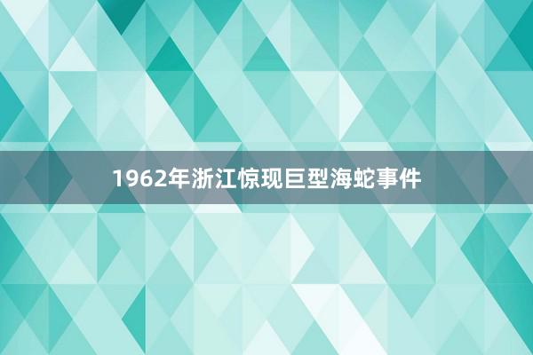 1962年浙江惊现巨型海蛇事件