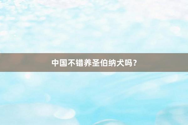 中国不错养圣伯纳犬吗？
