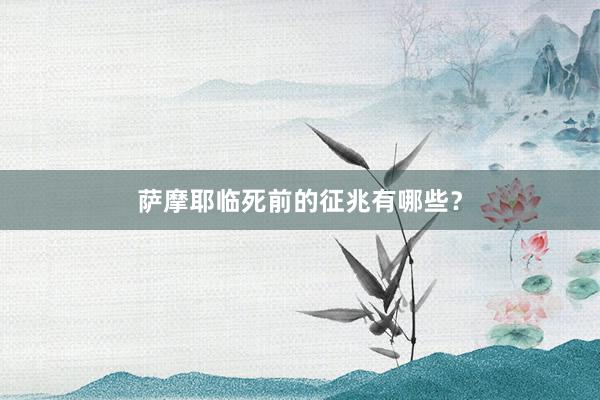 萨摩耶临死前的征兆有哪些？