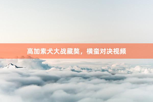 高加索犬大战藏獒，横蛮对决视频