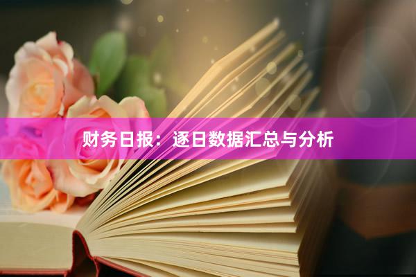 财务日报：逐日数据汇总与分析